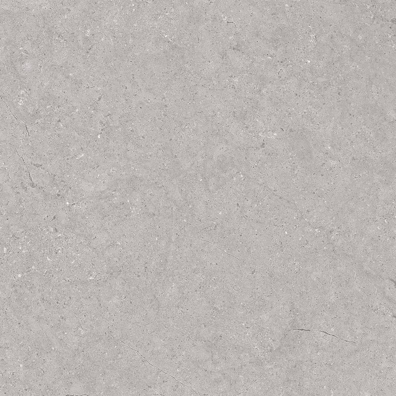 Dual Grey Floor