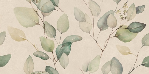 Alure Lipra Ivory 500 x 250