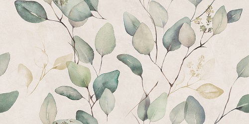 Alure Lipra White 500 x 250