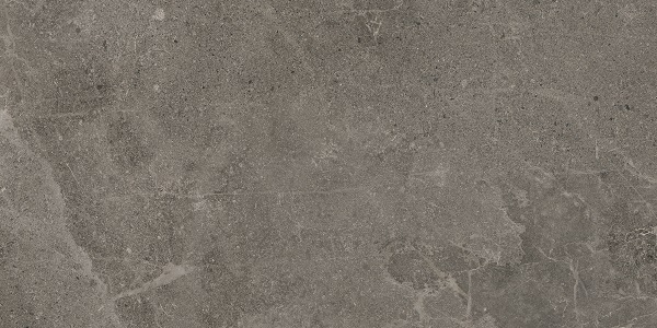 Dome Anthracite 600 x 300