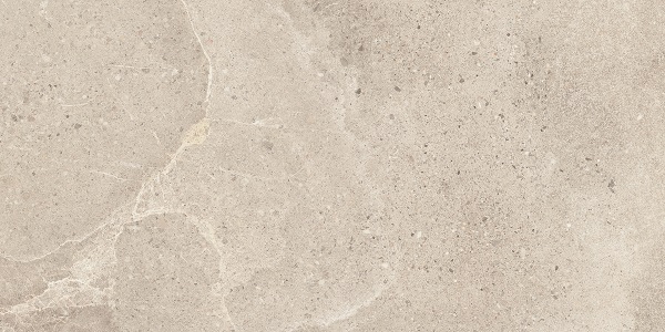 Dome Bone 600 x 300