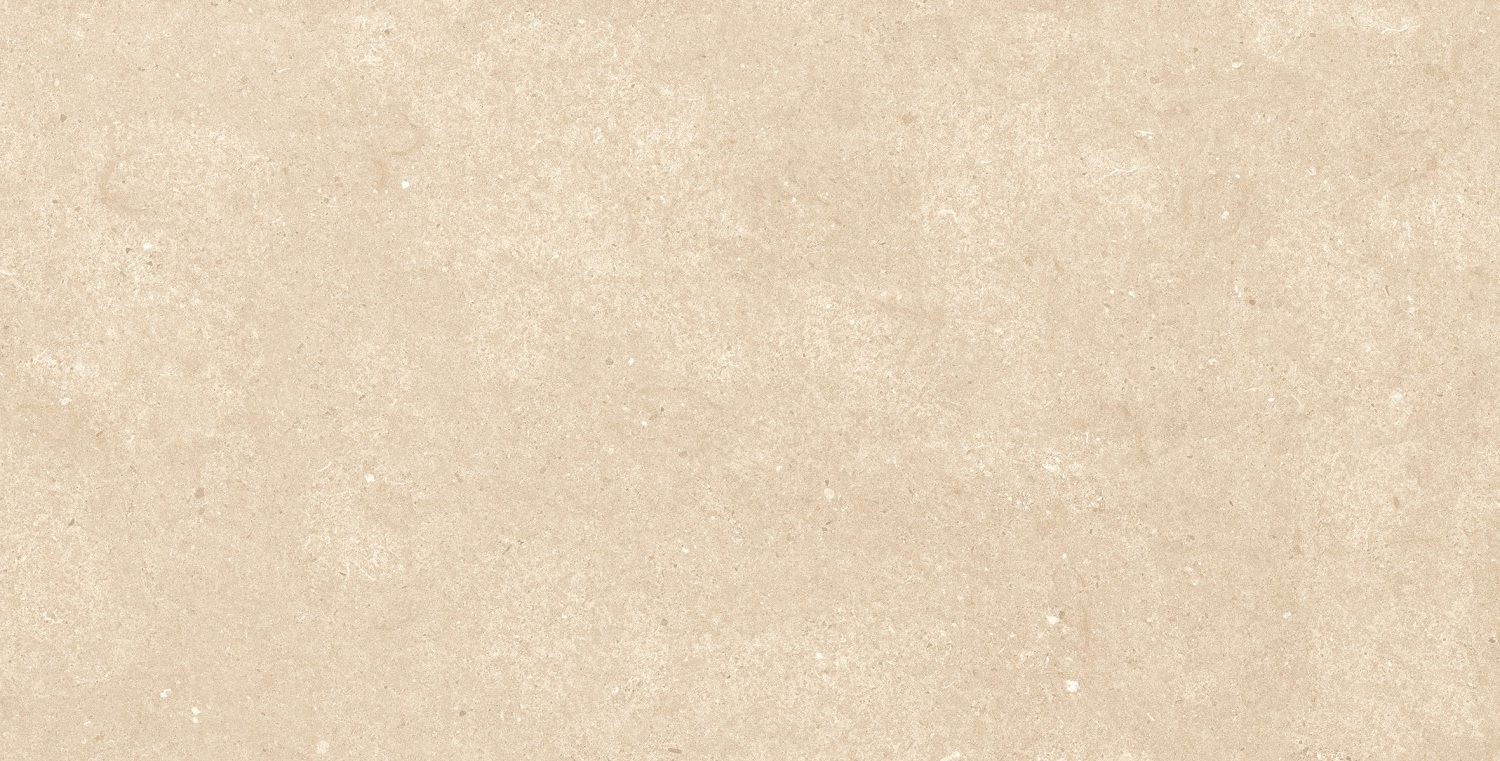 Fossil Beige 1200 x 600