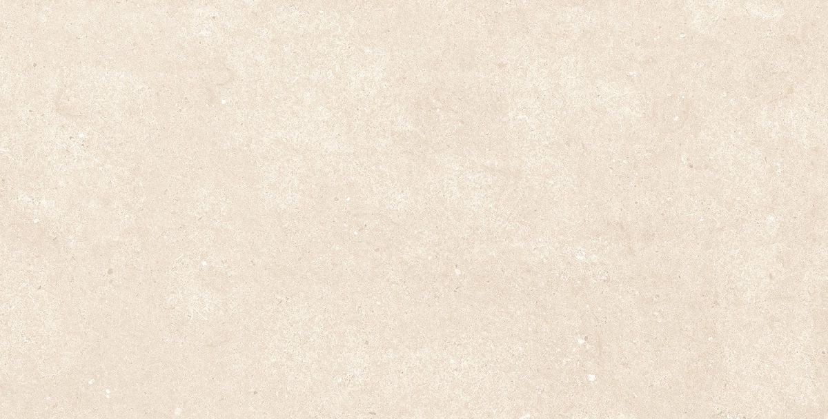 Fossil Bone 1200 x 600