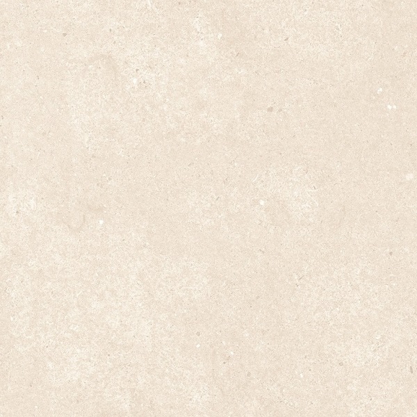 Fossil Bone 600 x 600