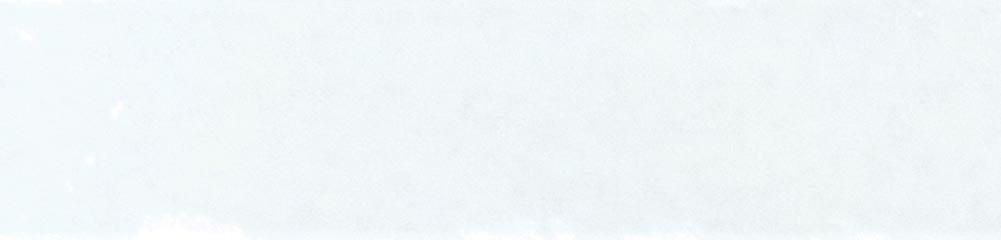 Mojave White