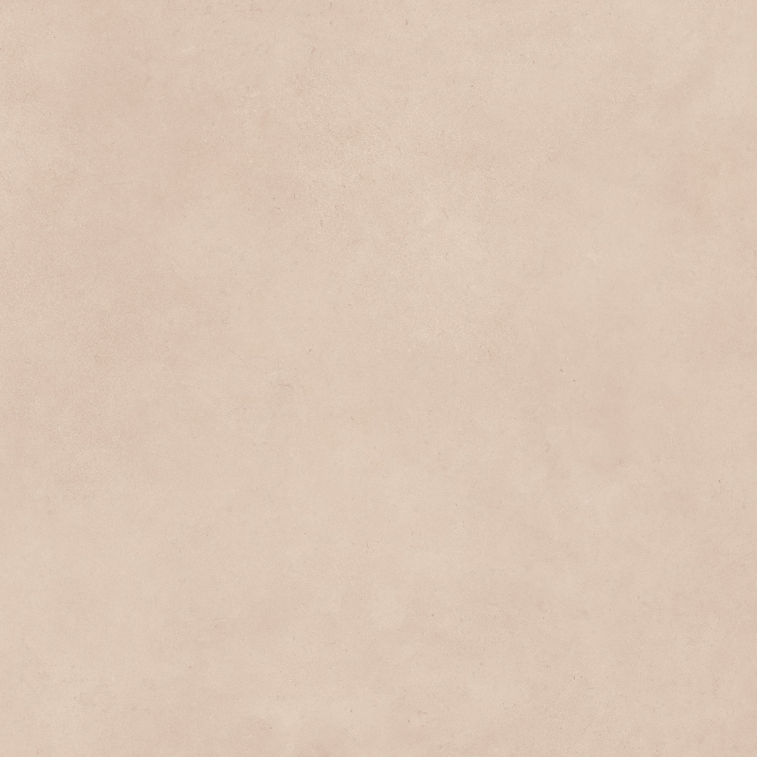 Palmeto Bone Floor
