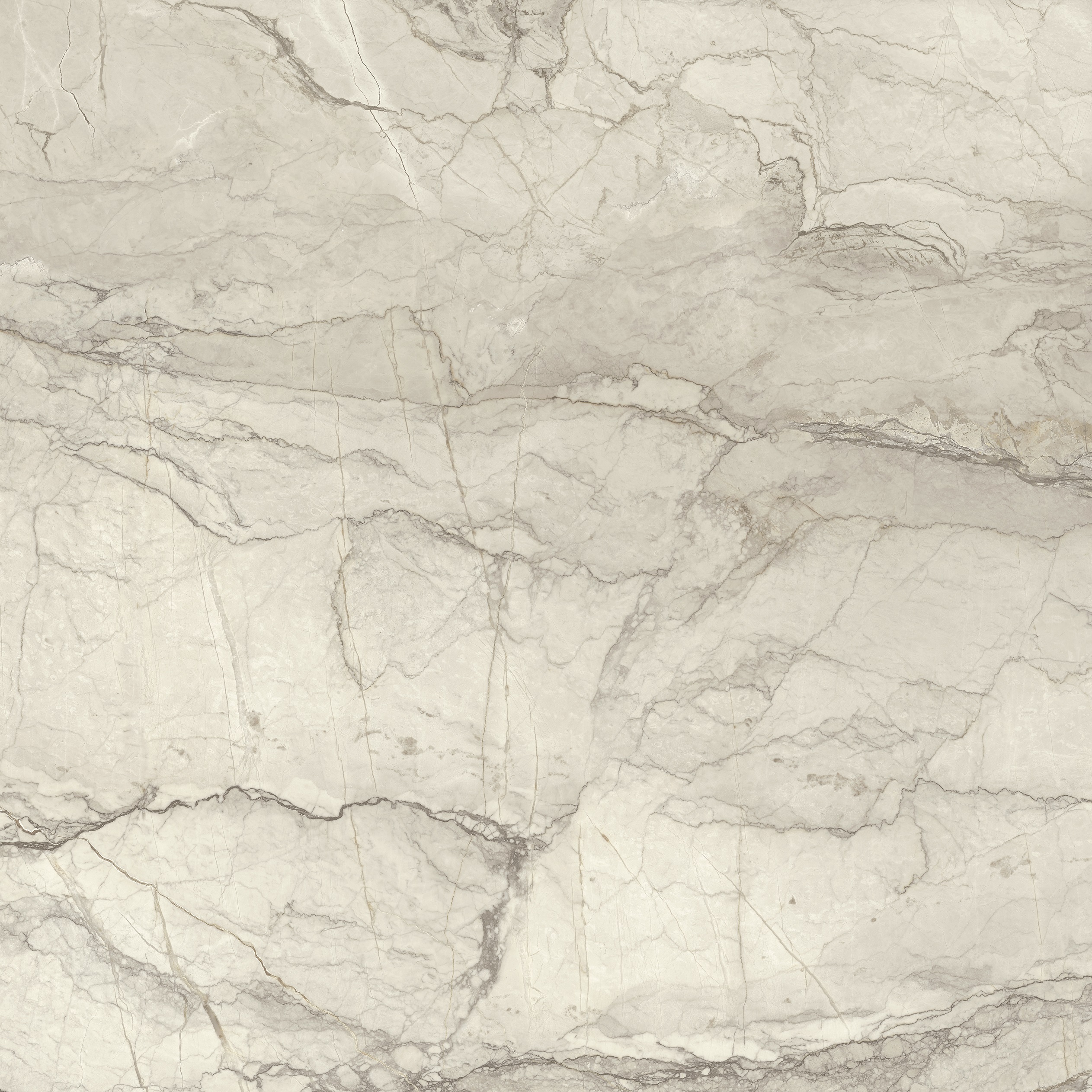 Paradox White 900 x 900