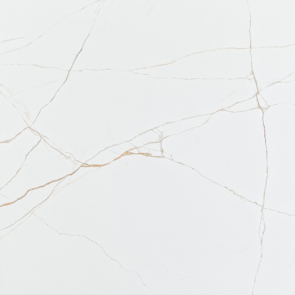 Torano Dorado Polished 600 x 600